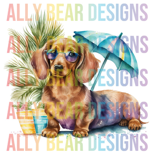 Summer Dachshund