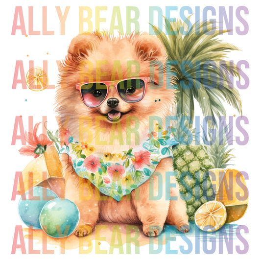 Summer Pomeranian